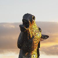 Buy canvas prints of Kelpie at Sunset.  by Tommy Dickson