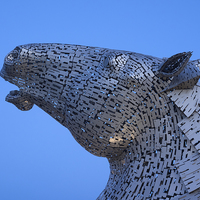 Buy canvas prints of Kelpie Horse Sculpture at Blue Hour by Tommy Dickson