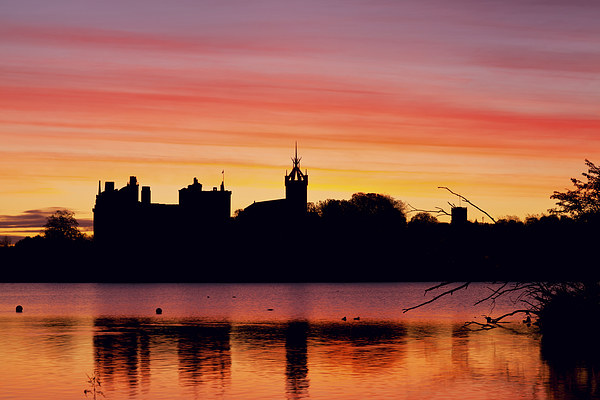 Majestic Sunrise Over Linlithgow Palace Picture Board by Tommy Dickson