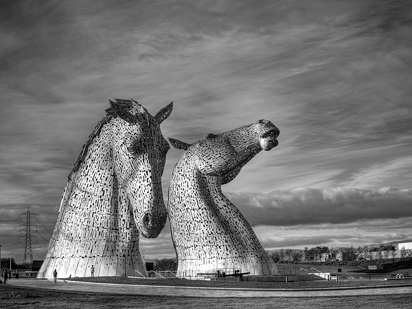 The Kelpies, Falkirk. Picture Board by Tommy Dickson