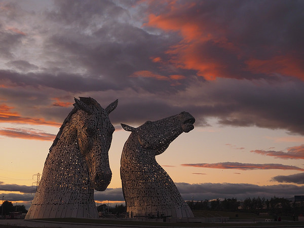  The Kelpies at sunset Picture Board by Tommy Dickson