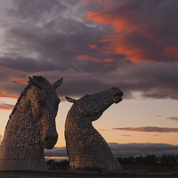 Buy canvas prints of  The Kelpies at sunset by Tommy Dickson