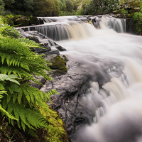 Buy canvas prints of  River Carron at Larbert by Tommy Dickson