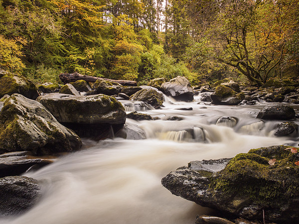  The River Braan, near Dunkeld, Scotland. Picture Board by Tommy Dickson