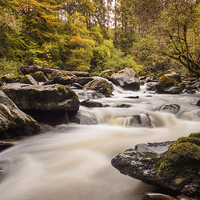 Buy canvas prints of  The River Braan, near Dunkeld, Scotland. by Tommy Dickson