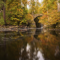 Buy canvas prints of Serenity in Autumn by Tommy Dickson