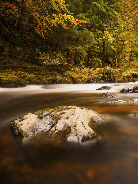  The River Braan, Perthshire, Scotland. Picture Board by Tommy Dickson