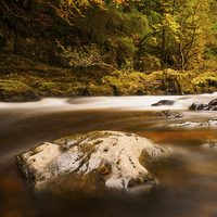 Buy canvas prints of  The River Braan, Perthshire, Scotland. by Tommy Dickson