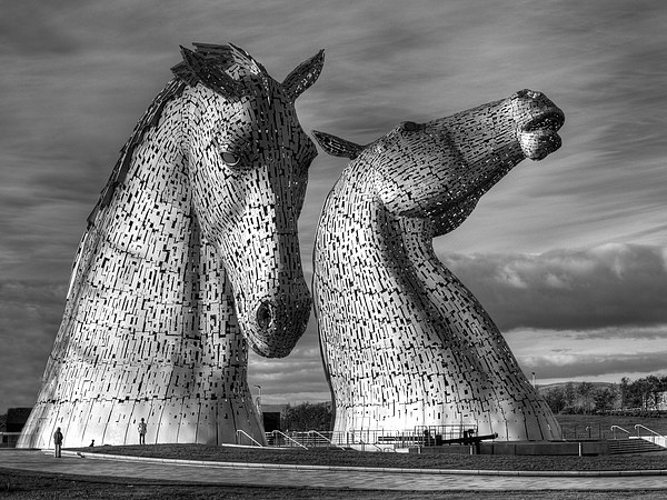  The magnificent Kelpies sculptures near Falkirk,  Picture Board by Tommy Dickson