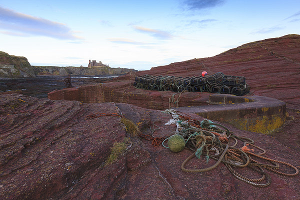 Seacliff harbour looking towards Tantallon Castle Picture Board by Tommy Dickson