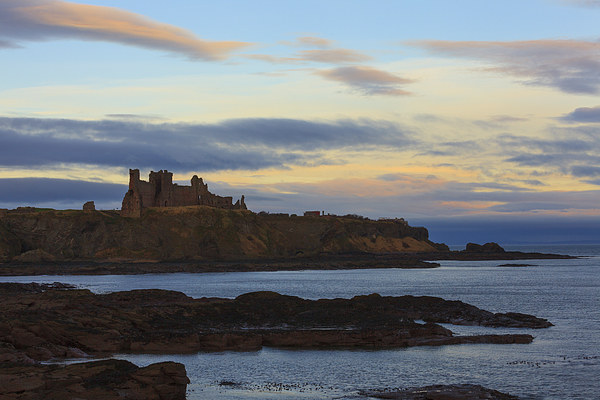  Tantallon castle on the east coast of Scotland. Picture Board by Tommy Dickson