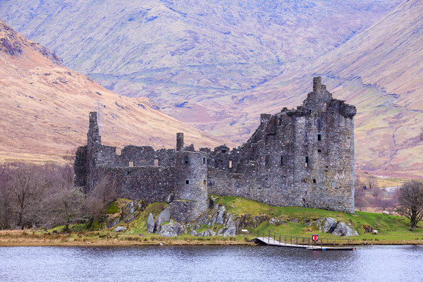 A Fairytale Ruin on Loch Awe Picture Board by Tommy Dickson