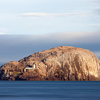 Buy canvas prints of The Bass Rock. by Tommy Dickson