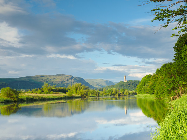 River Forth towards the Wallace Monument. Picture Board by Tommy Dickson