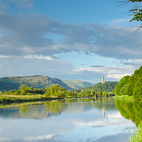 Buy canvas prints of River Forth towards the Wallace Monument. by Tommy Dickson