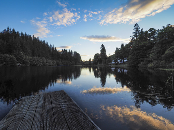 Serenity on Loch Ard Picture Board by Tommy Dickson