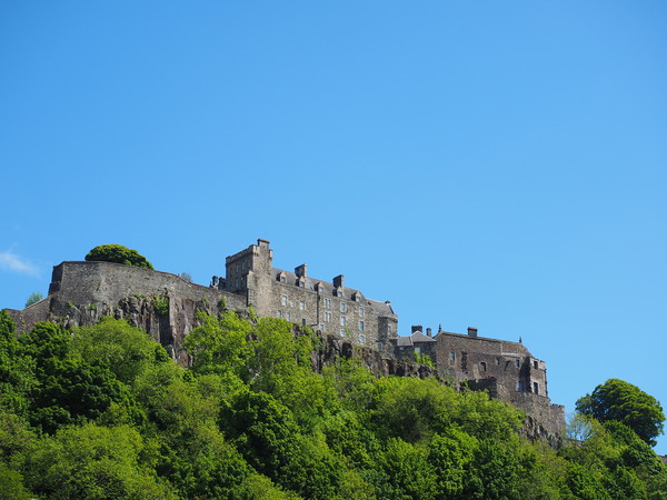 Stirling Castle from below.                        Picture Board by Tommy Dickson