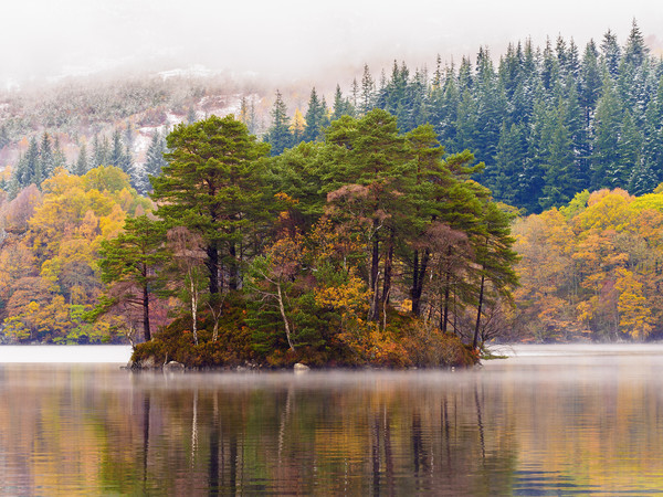 Loch Katrine autumnal scene. Picture Board by Tommy Dickson