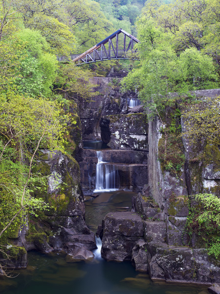Bracklin Falls, near Callander, Scotland. Picture Board by Tommy Dickson