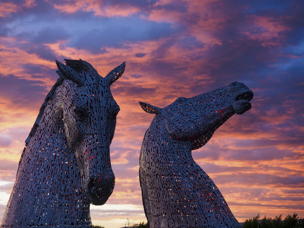 The Kelpies, Falkirk at Sunset Picture Board by Tommy Dickson
