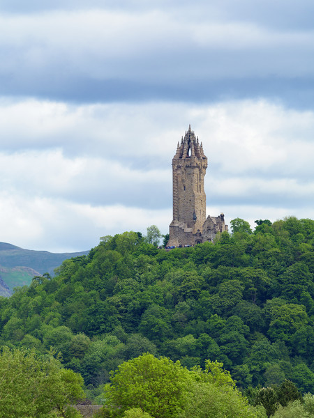 The National Wallace Monument. Picture Board by Tommy Dickson