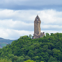 Buy canvas prints of The National Wallace Monument. by Tommy Dickson