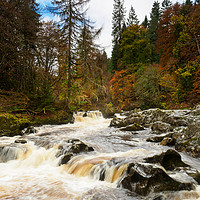 Buy canvas prints of River Braan, near Dunkeld. by Tommy Dickson
