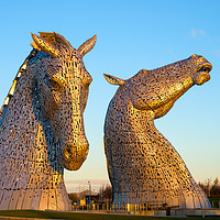 Buy canvas prints of Sunrise at the Kelpies by Tommy Dickson