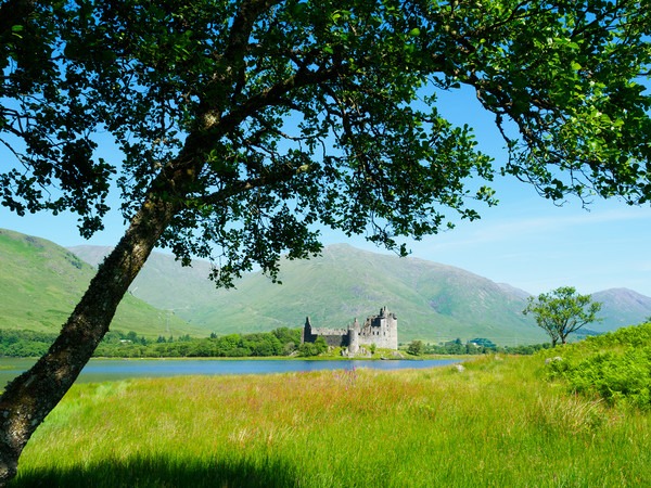 Kilchurn Castle from the banks of Loch Awe. Picture Board by Tommy Dickson