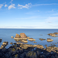 Buy canvas prints of Panorama of St Abbs Coastline by Tommy Dickson