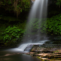 Buy canvas prints of Westquarter Glen waterfall, Falkirk. by Tommy Dickson