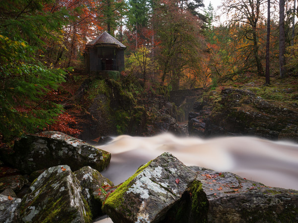 The Hermitage, near Dunkeld. Picture Board by Tommy Dickson