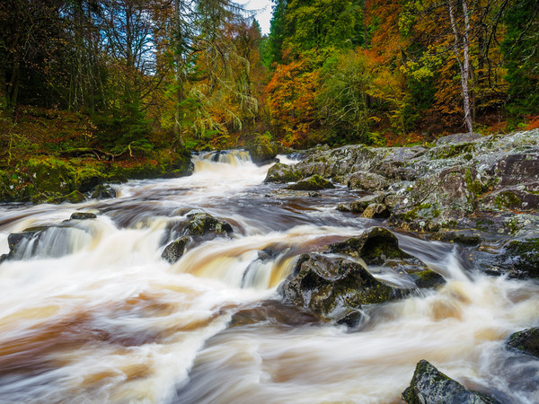 The River Braan, Dunkeld. Picture Board by Tommy Dickson