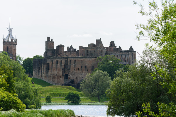 Linlithgow Palace. Picture Board by Tommy Dickson