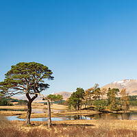Buy canvas prints of Loch Tulla. by Tommy Dickson