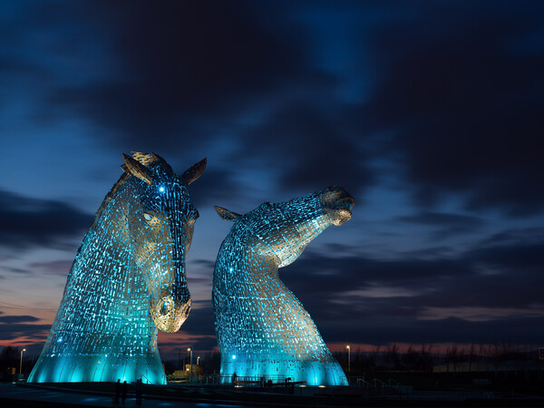 The Kelpies, Illuminated in blue at night. Picture Board by Tommy Dickson