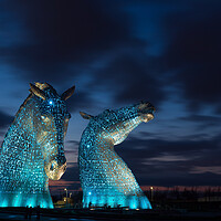 Buy canvas prints of The Kelpies, Illuminated in blue at night. by Tommy Dickson