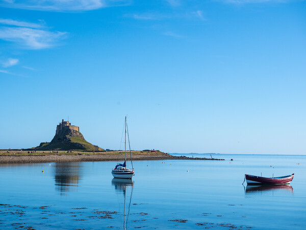 Lindisfarne. Picture Board by Tommy Dickson