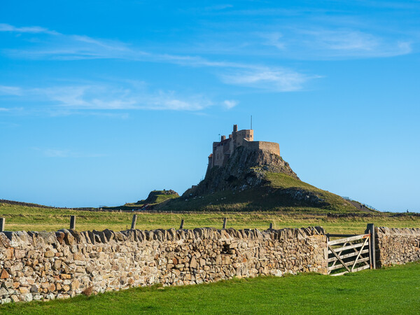 Lindisfarne Castle. Picture Board by Tommy Dickson