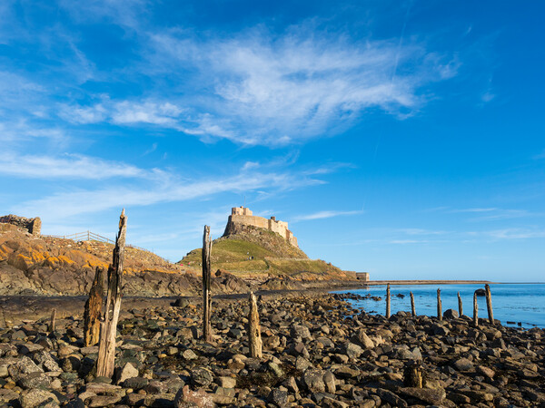 Lindisfarne Castle, Holy Island. Picture Board by Tommy Dickson