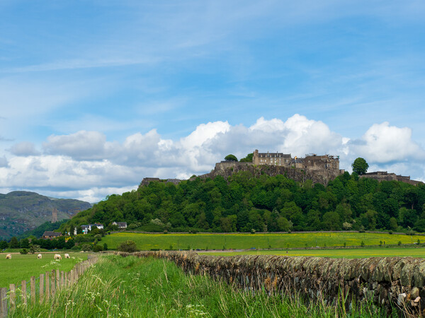 Stirling Castle. Picture Board by Tommy Dickson