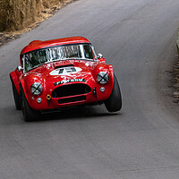 Buy canvas prints of AC Cobra by Tommy Dickson