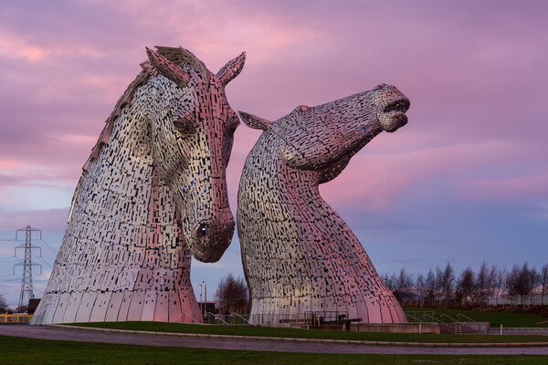 The Kelpies at sunset. Picture Board by Tommy Dickson