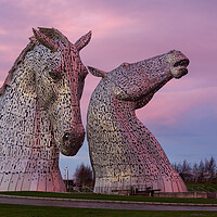 Buy canvas prints of The Kelpies at sunset. by Tommy Dickson