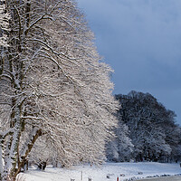 Buy canvas prints of Callendar Park, Falkirk at winter. by Tommy Dickson