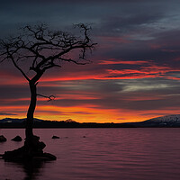 Buy canvas prints of Sunset at Loch Lomond, Scotland.  by Tommy Dickson