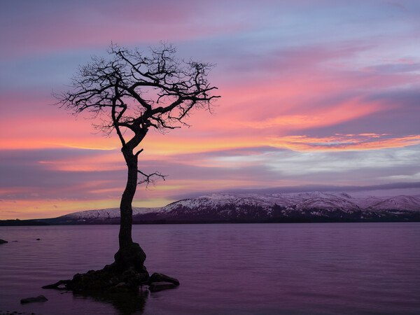 Serene Scottish Sunset Picture Board by Tommy Dickson