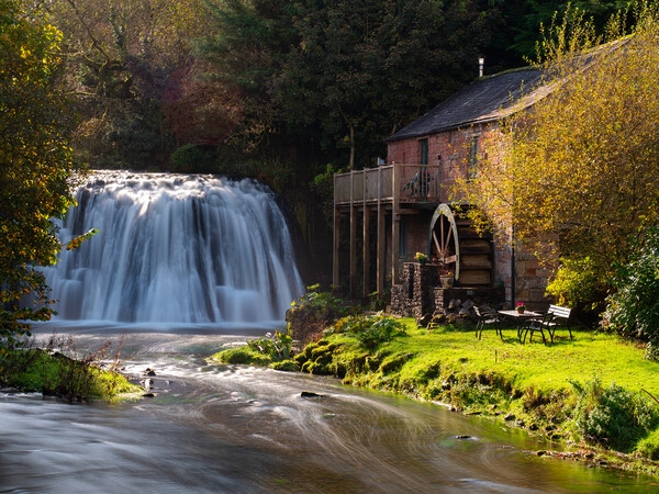 Rutter Force, Appleby in Westmoreland, Cumbria. Picture Board by Tommy Dickson
