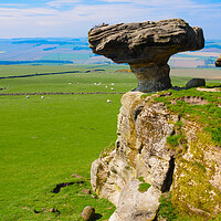 Buy canvas prints of The Bunnet Stane, Fife, Scotland. by Tommy Dickson