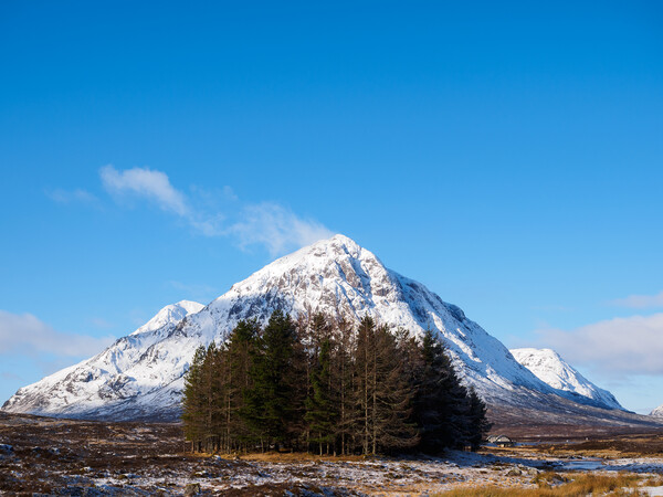 Buachaille Etive Mòr, Glen Coe, Scotland. Picture Board by Tommy Dickson